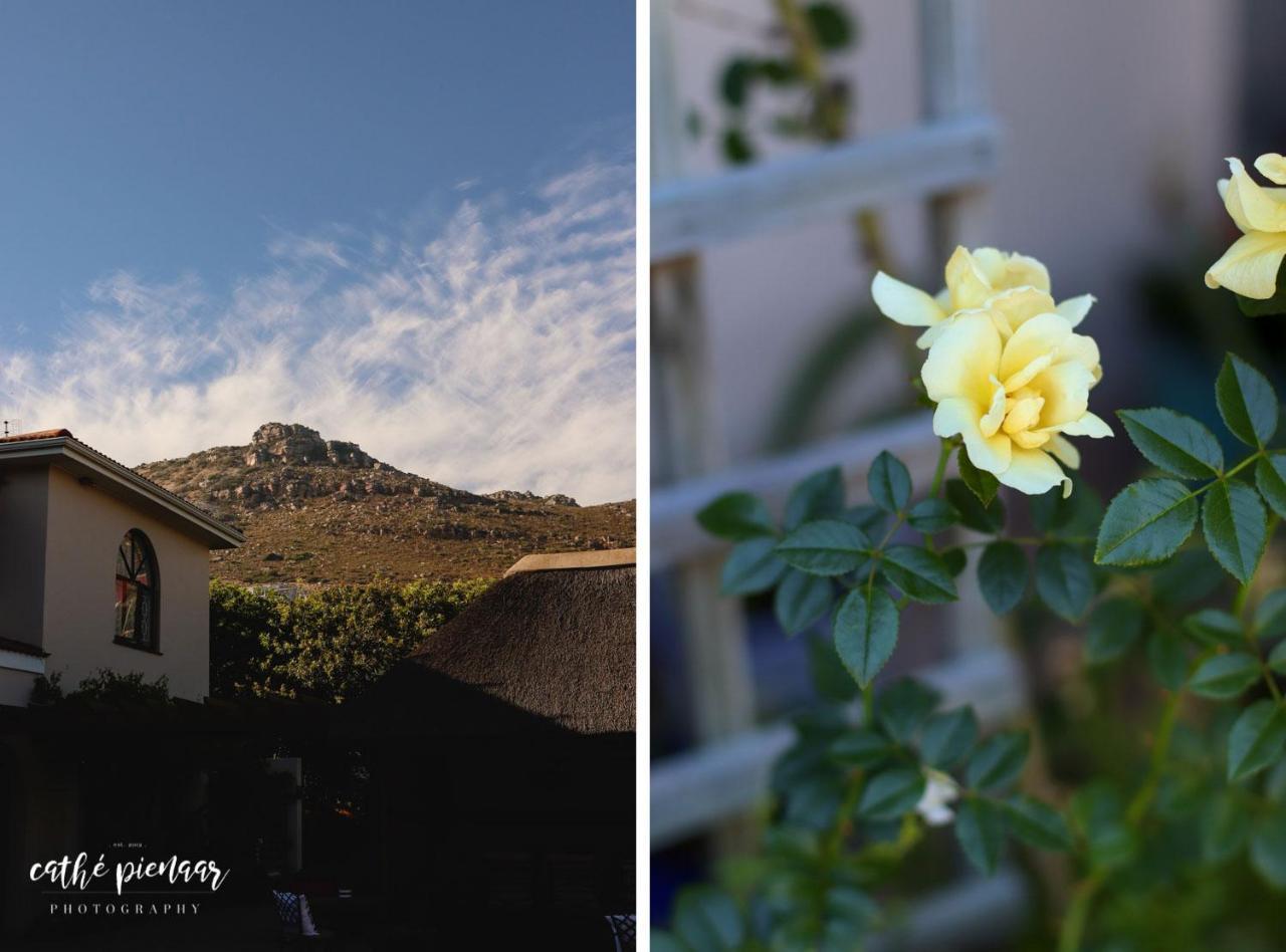 A Tuscan Villa Guest House フィッシュ・フック エクステリア 写真